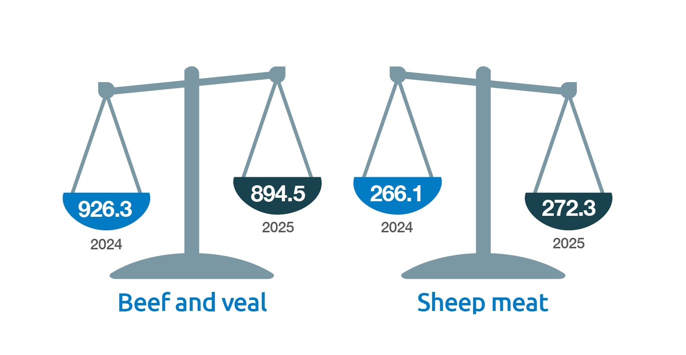 Diagram showing UK production of beef and veal and sheep meat (thousand tonnes) for 2024 and 2025.